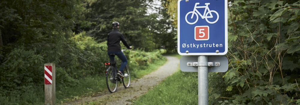 Mand cykler ad en skovsti på National Cykelrute 5 - Østkystruten